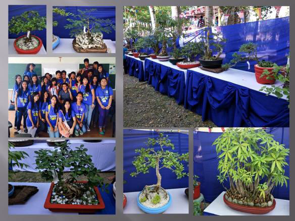 Miniature plants exhibit as art-by-nature activity.
Miniature plants exhibit (Fig 4) also obtained the mean of 3.91 described as an interesting learning activity.