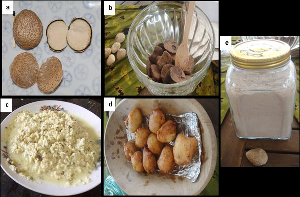 Fig. 4 (a-e). Photos of different uses of T. pedata a)
Raw nuts b) nuts coated with chocolate (c) pounded
nuts known as kibibi (d) pastries with nuts (e) flour.