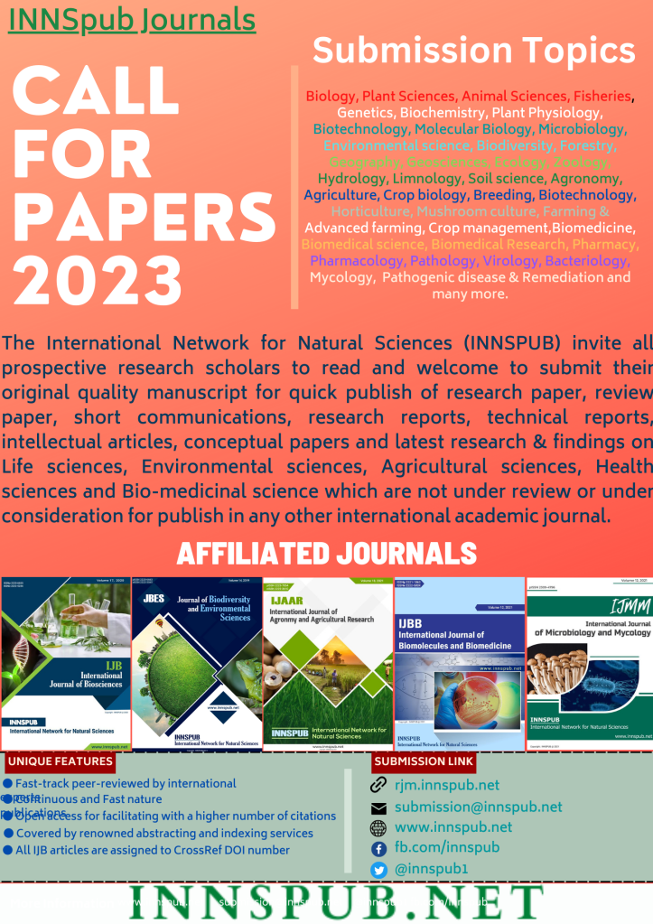 INNSpub Call For Paper 2023