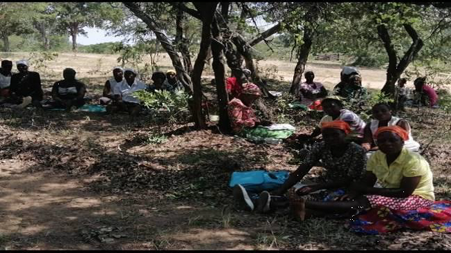 Climate shocks and women’s livelihood in Zimbabwe: A case study on the impact of Cyclone Idai in Chimanimani District